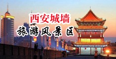 大黑鸡巴操大黑逼内射视频中国陕西-西安城墙旅游风景区